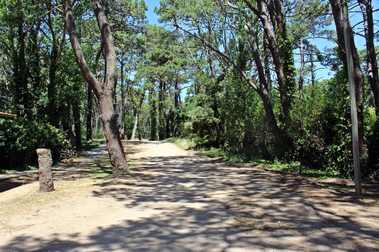 Ramma Camping Ostello Villa Gesell Esterno foto